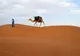 Maroko | Sahara, Maroko