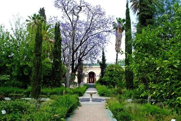 Maroko | Ogrody Muzeum Batha