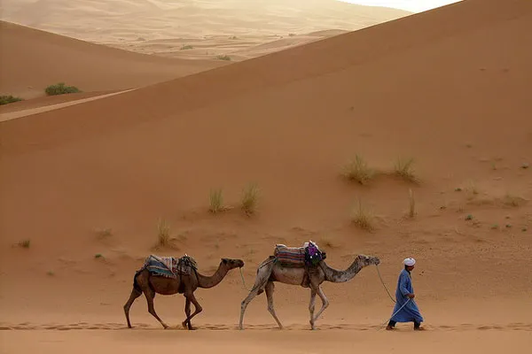 Maroko | Wydmy Erg Chebbi – krajobrazy marokańskiej Sahary
