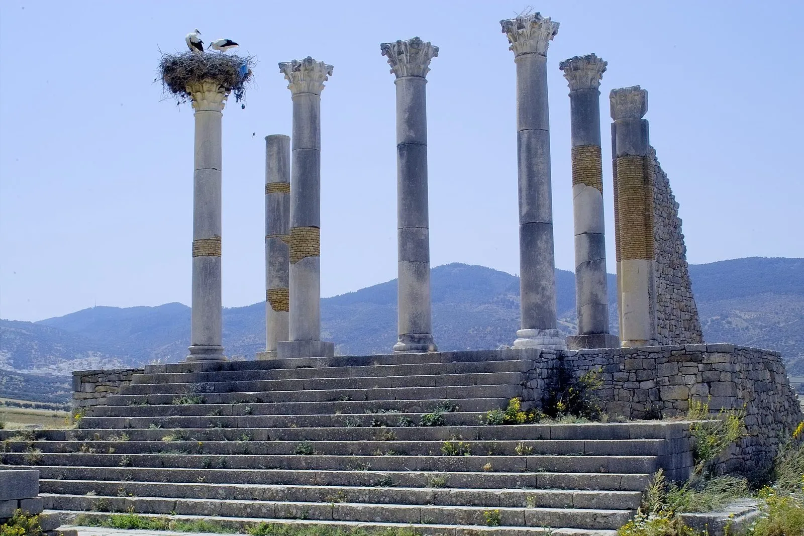 Maroko | Kolumny Kapitolu w Volubilis z gniazdami bocianów